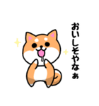 大阪弁の柴犬さん (リメイク)（個別スタンプ：8）