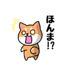 大阪弁の柴犬さん (リメイク)（個別スタンプ：13）