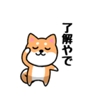 大阪弁の柴犬さん (リメイク)（個別スタンプ：16）