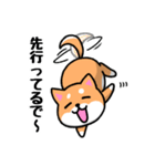 大阪弁の柴犬さん (リメイク)（個別スタンプ：19）