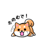 大阪弁の柴犬さん (リメイク)（個別スタンプ：24）