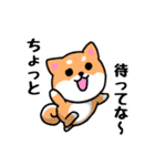 大阪弁の柴犬さん (リメイク)（個別スタンプ：31）