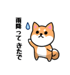 大阪弁の柴犬さん (リメイク)（個別スタンプ：33）