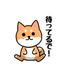 大阪弁の柴犬さん (リメイク)（個別スタンプ：35）