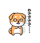 大阪弁の柴犬さん (リメイク)（個別スタンプ：39）