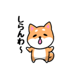 大阪弁の柴犬さん (リメイク)（個別スタンプ：40）
