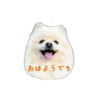 mofumofupurinlove（個別スタンプ：1）