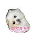 mofumofupurinlove（個別スタンプ：3）