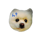 mofumofupurinlove（個別スタンプ：5）