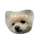 mofumofupurinlove（個別スタンプ：6）