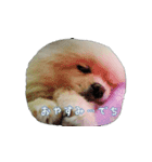 mofumofupurinlove（個別スタンプ：8）