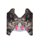 キジトラりき（個別スタンプ：6）