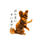 チワワ〜ず（個別スタンプ：12）