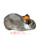 まったりMARO君（個別スタンプ：9）