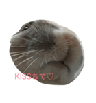 まったりMARO君（個別スタンプ：10）