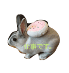 まったりMARO君（個別スタンプ：12）