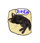 甲斐犬☆大好き（個別スタンプ：11）