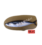 お魚屋さん（個別スタンプ：3）