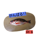お魚屋さん（個別スタンプ：9）