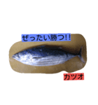 お魚屋さん（個別スタンプ：12）
