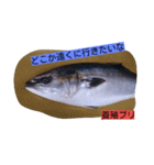 お魚屋さん（個別スタンプ：16）