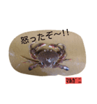 お魚屋さん（個別スタンプ：20）