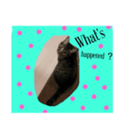 ごろねこモンブラン（個別スタンプ：2）