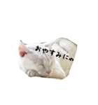 ちおたん（個別スタンプ：3）