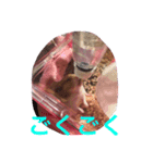 はむはむちゃんず（個別スタンプ：2）