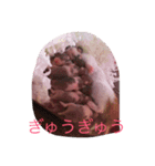 はむはむちゃんず（個別スタンプ：5）