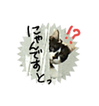ミィ＆ニャニャpart2（個別スタンプ：1）