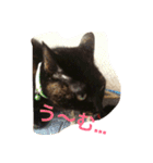 くうchan''（個別スタンプ：1）
