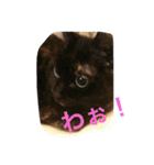 くうchan''（個別スタンプ：3）