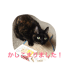 くうchan''（個別スタンプ：5）