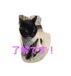 くうchan''（個別スタンプ：6）
