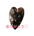 くうchan''（個別スタンプ：11）