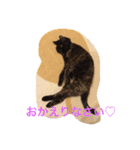 くうchan''（個別スタンプ：13）