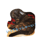 くうchan''（個別スタンプ：14）