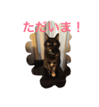 くうchan''（個別スタンプ：16）