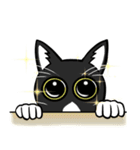 Catty Lifestyle of Miko ＆ Kola（個別スタンプ：4）