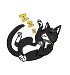 Catty Lifestyle of Miko ＆ Kola（個別スタンプ：17）