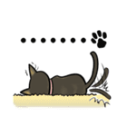 Catty Lifestyle of Miko ＆ Kola（個別スタンプ：24）