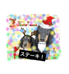 仲良しなダックス兄妹 パート2（個別スタンプ：5）