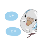 白いセキセイインコ（個別スタンプ：7）