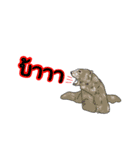 Animal789（個別スタンプ：4）