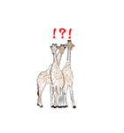 Animal789（個別スタンプ：7）