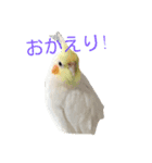 柴コロンとオカメのクー（個別スタンプ：14）