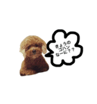 ちょこっと犬。（個別スタンプ：1）