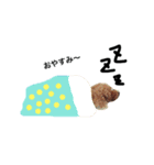 ちょこっと犬。（個別スタンプ：2）