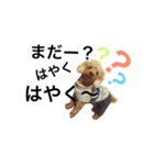 ちょこっと犬。（個別スタンプ：5）